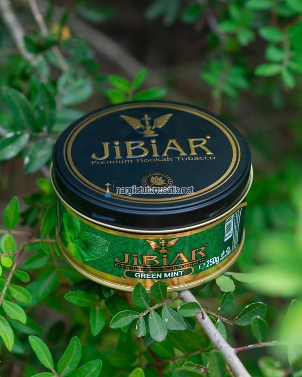 Jibiar Green Mint 250 Gr Nargile Tütünü